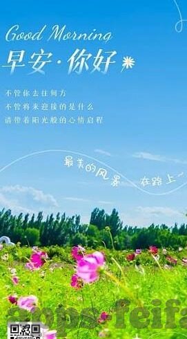 韩职足球今天比分-韩职足球激战正酣，今日比分全解析与赛事亮点回眸