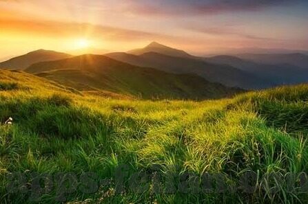 足球比分预测心得-足球比分预测，从经验到策略的心得之旅